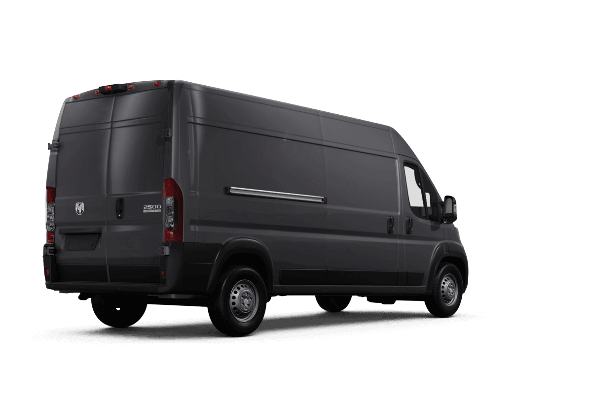 Ram false  - Back view Ram false  - Back view